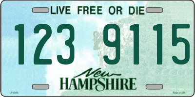 NH license plate 1239115