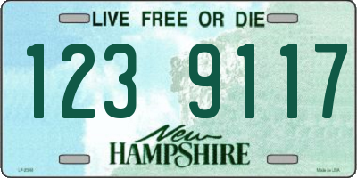 NH license plate 1239117