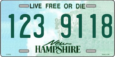 NH license plate 1239118