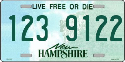 NH license plate 1239122