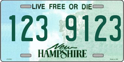NH license plate 1239123