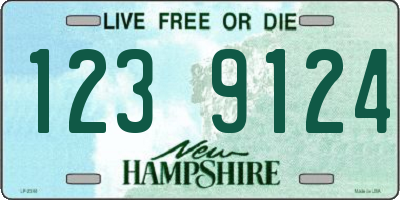 NH license plate 1239124