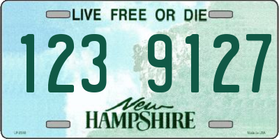 NH license plate 1239127