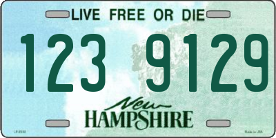 NH license plate 1239129