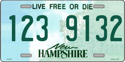 NH license plate 1239132
