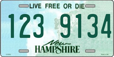 NH license plate 1239134