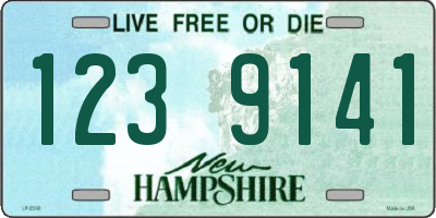NH license plate 1239141
