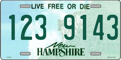 NH license plate 1239143