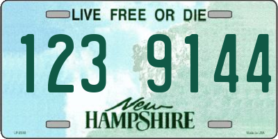 NH license plate 1239144