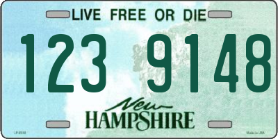 NH license plate 1239148