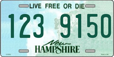 NH license plate 1239150