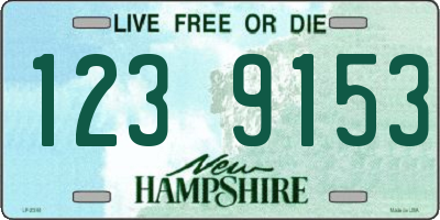 NH license plate 1239153