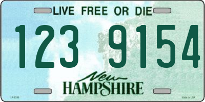 NH license plate 1239154
