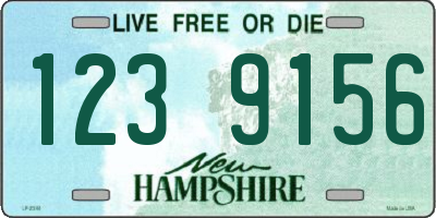 NH license plate 1239156