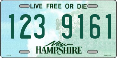 NH license plate 1239161