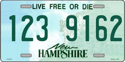 NH license plate 1239162