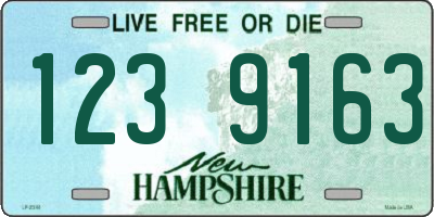 NH license plate 1239163