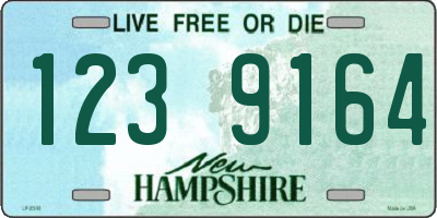 NH license plate 1239164