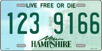 NH license plate 1239166