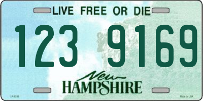 NH license plate 1239169