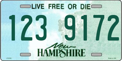 NH license plate 1239172