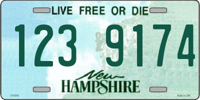 NH license plate 1239174