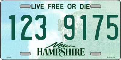 NH license plate 1239175