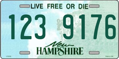 NH license plate 1239176
