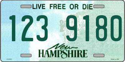 NH license plate 1239180