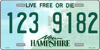 NH license plate 1239182