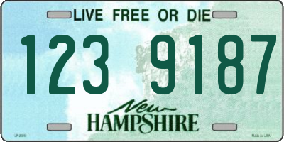 NH license plate 1239187
