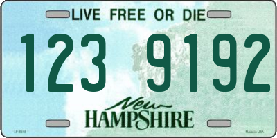 NH license plate 1239192