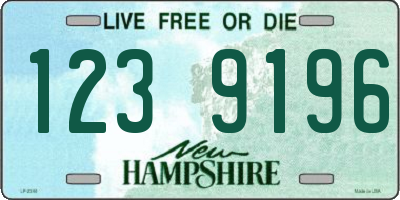 NH license plate 1239196