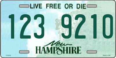 NH license plate 1239210