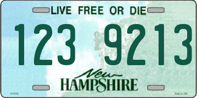 NH license plate 1239213