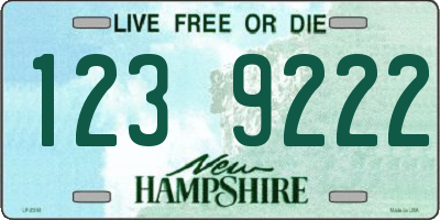 NH license plate 1239222