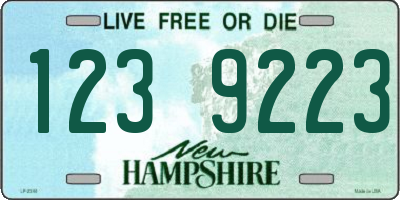 NH license plate 1239223