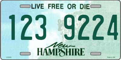 NH license plate 1239224