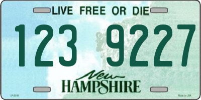 NH license plate 1239227