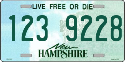 NH license plate 1239228
