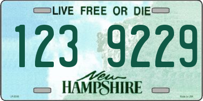 NH license plate 1239229