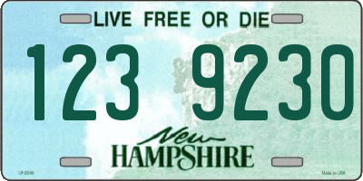 NH license plate 1239230