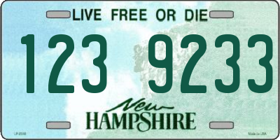 NH license plate 1239233