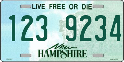 NH license plate 1239234