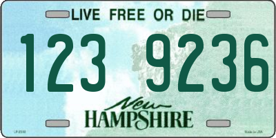 NH license plate 1239236