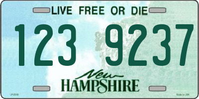NH license plate 1239237