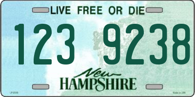 NH license plate 1239238