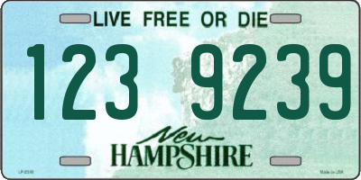 NH license plate 1239239