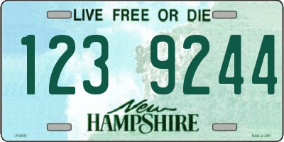 NH license plate 1239244