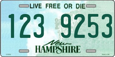 NH license plate 1239253